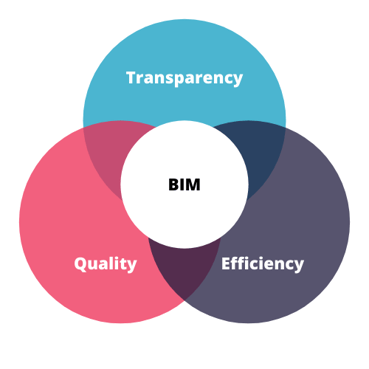 SYN _ BIM Venn Diagram