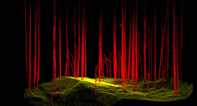 SYN CMS Blog FARO LiDAR Forestry