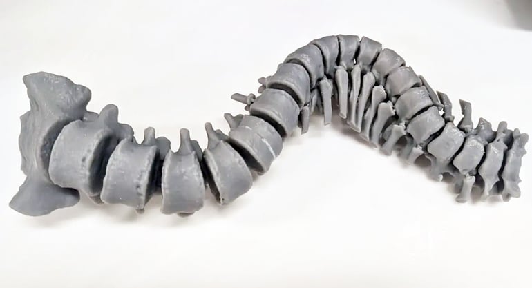 SYN CMS Blog Formlabs spine b